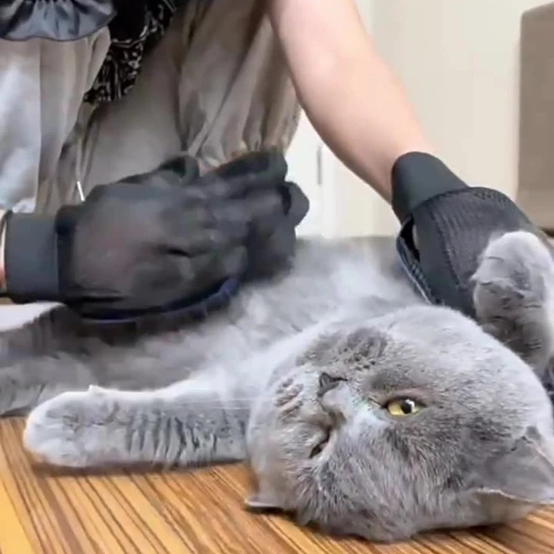 Luva Removedora de Pelos para Pets