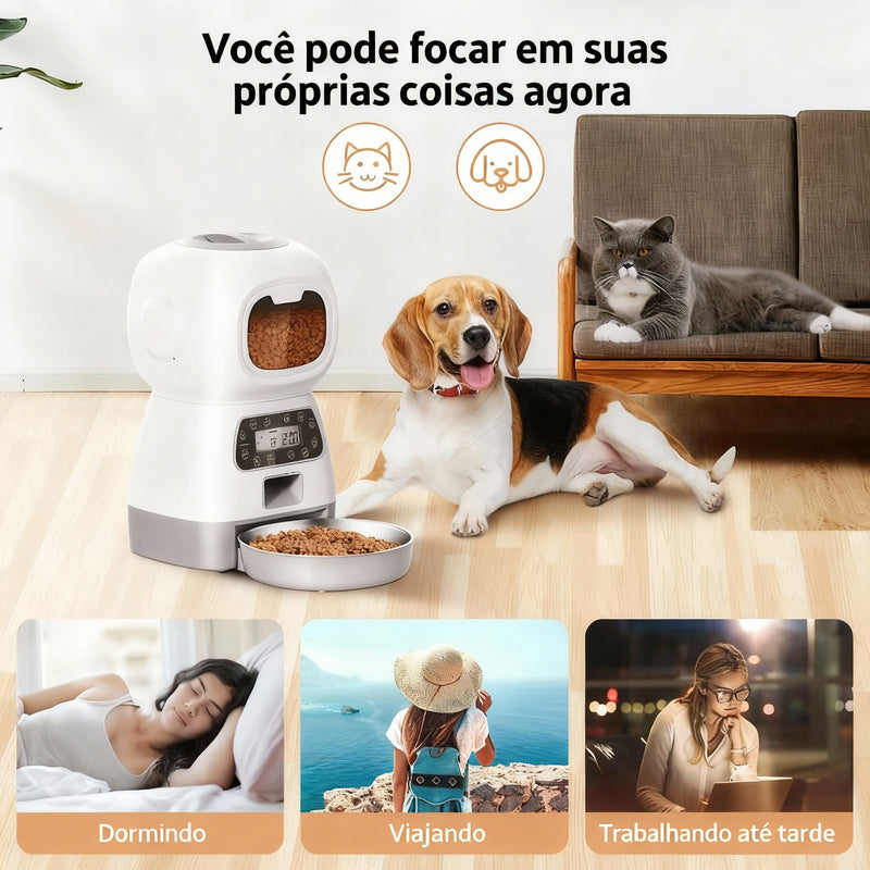 Alimentador Automático Inteligente