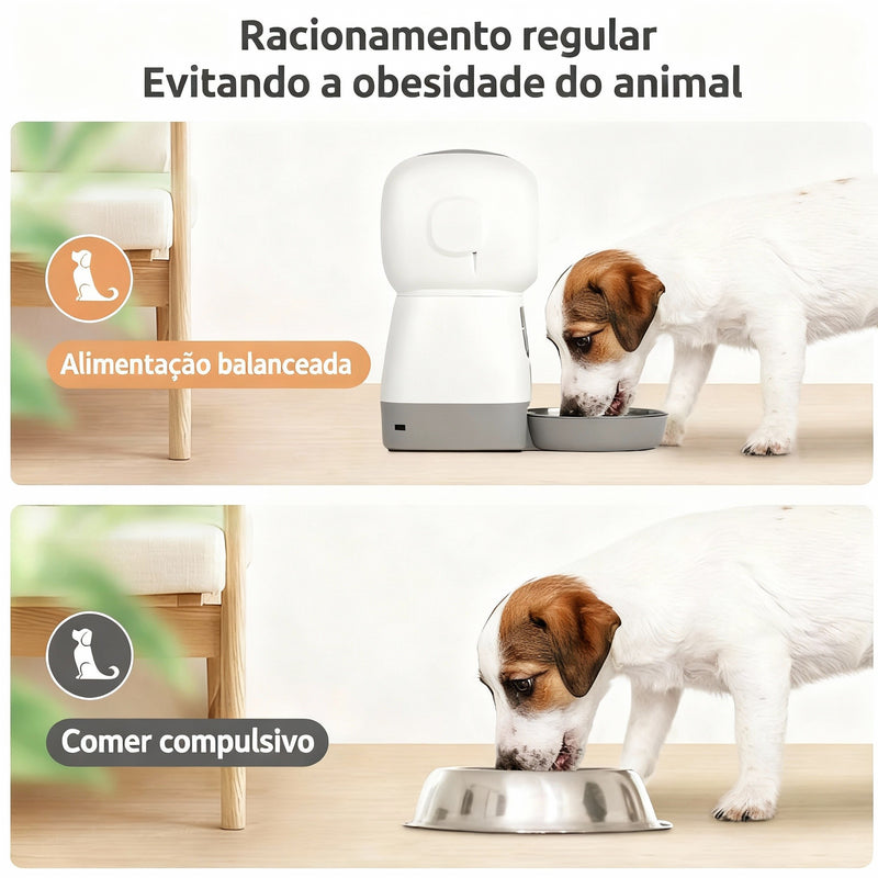 Alimentador Automático Inteligente